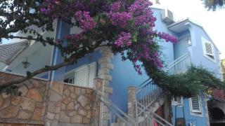 Apartments by the sea Maslinica, Solta - 14748 - Maslinica - 9