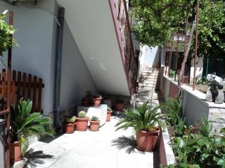 Apartments by the sea Jelsa, Hvar - 14754 - 5