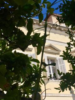 Rooms by the sea Mali Losinj (Losinj) - 14779 - Mali Lošinj - 9
