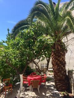 Rooms by the sea Mali Losinj (Losinj) - 14779 - Mali Lošinj - 5