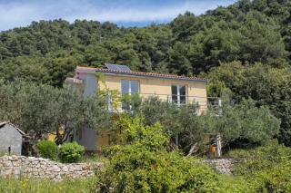 Seaside secluded apartments Cove Skozanje, Hvar - 14899 - Gdinj - 8