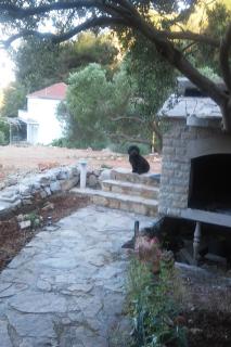 Seaside secluded apartments Cove Skozanje, Hvar - 14899 - Gdinj - 4