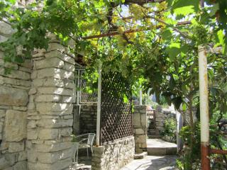 Apartments by the sea Stomorska, Solta - 14960 - 5