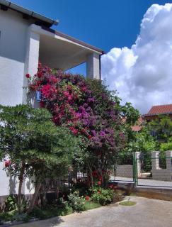 Apartments with a parking space Milna, Brac - 14961 - 2