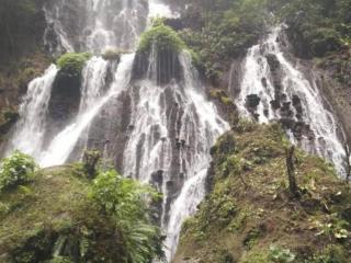 villas in batu indonesia homestay - 4