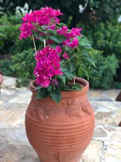 Cycladic Luxury Maisonette - 6