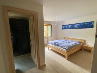 Haus Tannenweg - Arosa - 1