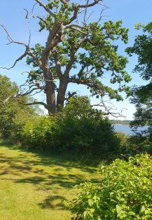Skärva Herrgård - Karlskrona - 5