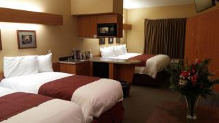 Best Western Palmyra Inn & Suites - 9
