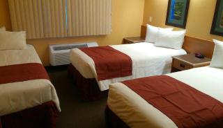 Best Western Palmyra Inn & Suites - 8