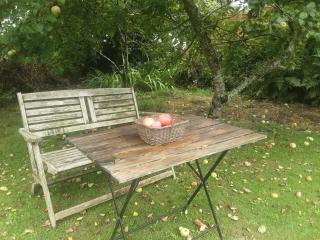 Tranquil wood cabin set in a beautiful orchard - Penzance - 4