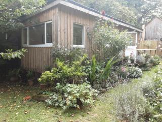 Tranquil wood cabin set in a beautiful orchard - Penzance - 5