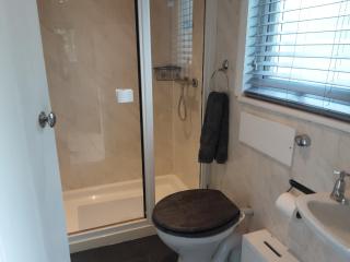 Tranquil wood cabin set in a beautiful orchard - Penzance - 1