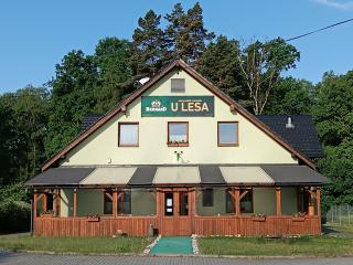 Restaurace a Penzion U Lesa - Havířov - 0