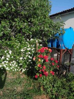 Apartmani La Vi - Bar - 7