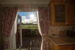 Goitre Bach Cottage - Aberaeron - 8