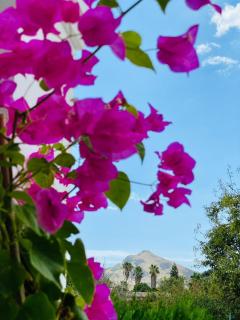 Wunderschöne Finca Alcudia mit Wlan und Heizung - 8