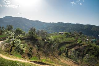 EVAAN RESORTS THE FOLIAGE - 4