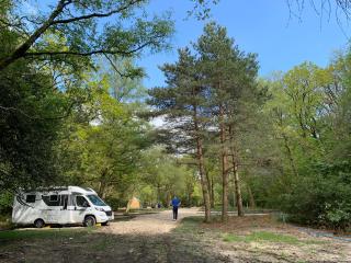 Nuthatch Cabin at Cloudshill Glade - Wareham - 3