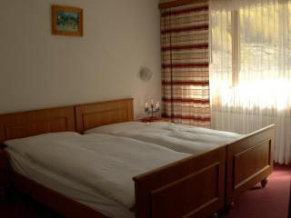 Hotel Adler - Saas-Grund - 6