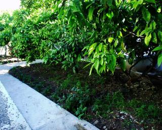 Rooms by the sea Jelsa, Hvar - 127 - 2