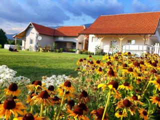 Apartmani Petrović SEMČE Suva Planina - - 3