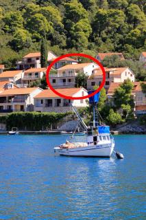Apartments by the sea Brna, Korcula - 147 - Smokvica - 0