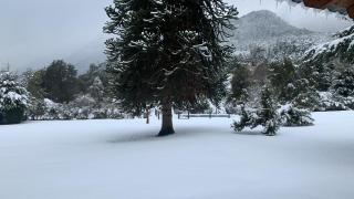 Cabañas La Pampita - 5