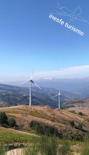 Miradouro da Branda - 0