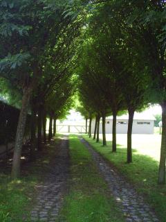 Apartment Capitalcondos - Ninove - 2
