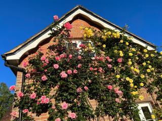 Beeches Cottage - Beautiful Garden - Parking - Handcross - 4