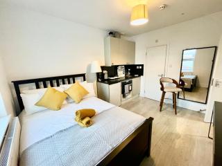 Lovely self contained studio now available - Londra - 0