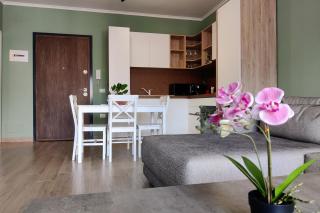 Flower apartment - Tirana - 0