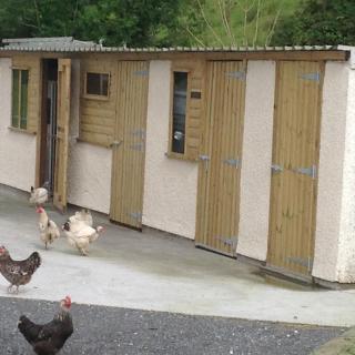The Little cow shed - Swansea - 8