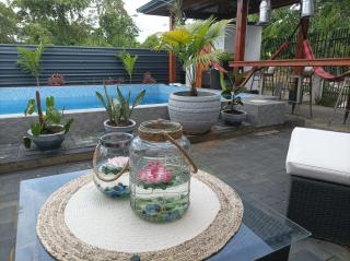 Tropical appartement - 9