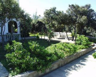 Apartments by the sea Simuni, Pag - 236 - Kolan - 6