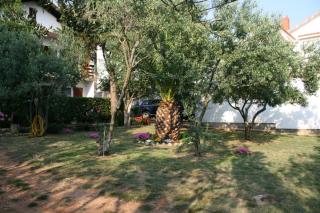 Apartments with a parking space Povljana, Pag - 226 - Povljana - 4