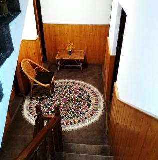 Cherrytree Resort - 1