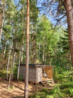 Skaisto saulrietu namiņš - 9