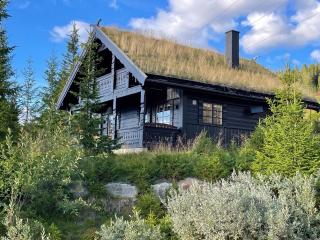 Ski and Bike-In and Out - Hafjell - 6