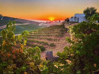 Sirena Vineyard Resort - Paso Robles - 9