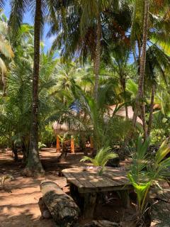 ENSUEÑOS NATURAL RESERVE Little Corn Island Nicaragua - Little Corn Island - 3