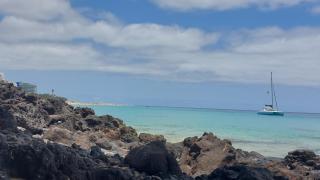 Little Chatty - Costa Calma - 2