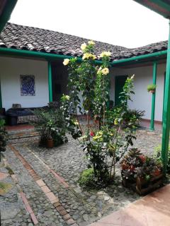 LUzArt - Jardin - 7