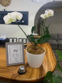 Berlor Airport Inn - 7