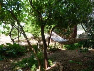 Apartments with parking spaces Slatine, Ciovo - 15175 - Slatine - 3