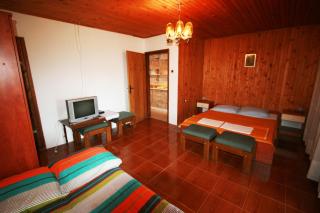 Apartments with a parking space Valbandon, Fazana - 15161 - Fažana - 6