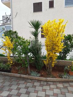 Apartments with a parking space Novigrad - 15227 - 4