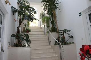 Apartment Stanici 14782a - 2