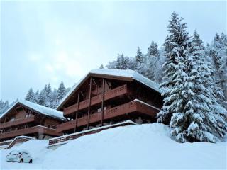 Appartement ski aux pieds, 2 chambres, terrasse et parking couvert - La Clusaz - FR-1-459-49 - La Clusaz - 9